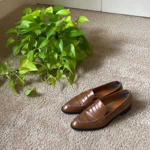 Everlane brown leather loafers